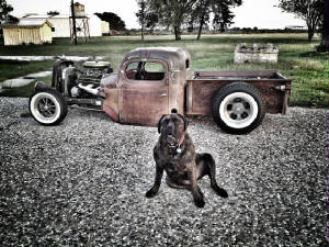 webassets/Ratrod.jpg